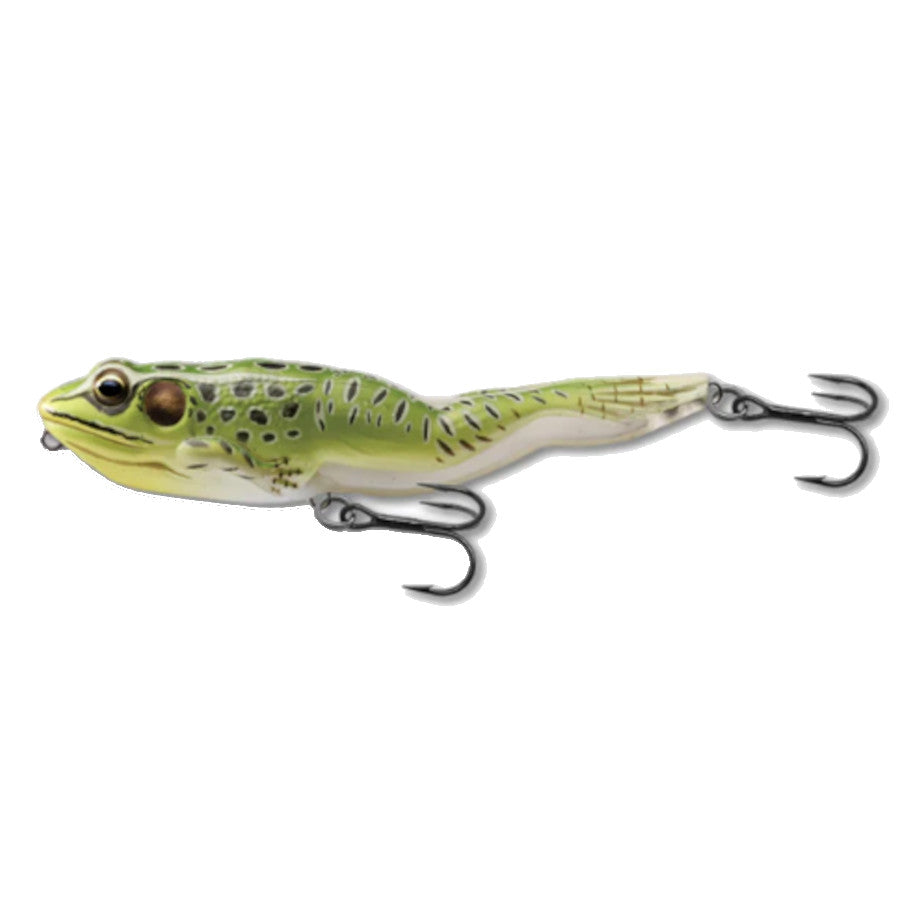 LIVE TARGET FROGS - DIFFERENT TYPES AVAILABLE