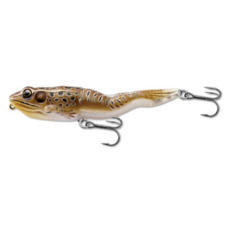 LIVE TARGET FROGS - DIFFERENT TYPES AVAILABLE